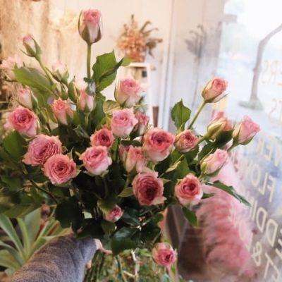 澳大利亚威斯尼斯wns888