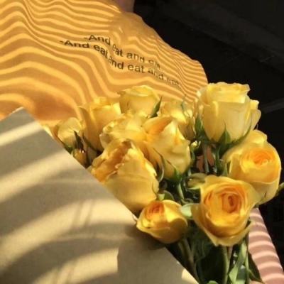 Bob体育综合APP下载客户端