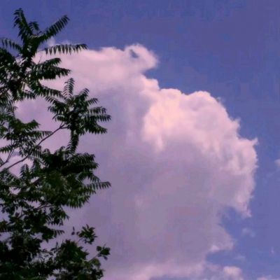 澳门太阳游戏城app下载手机版